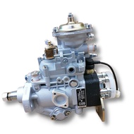 VE6/10F1900RND234 High pressure Diesel Fuel Injection Pump 196000-2341 22100-1C090 221001C090 For De