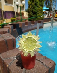 Apartamento para ate 5 pessoas quarto andar com vista para piscinas 413