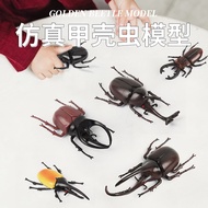 Simulation Insect Big Beetle Model Unicorn Beetle Ornament Mini Beetle Toy