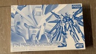 RG Strike Freedom Gundam Titanium Finish 模型