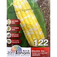 Biji Bernih Sayur/ Vege Seed JT122 Double Joy Sweet Corn Bi-Color/ Jagung Mutiara/ 超甜黄白玉米 (30 seeds)