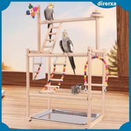 [Direrxa] Parrot Playstand,Parrot Bird Playground,Exercise,Activity Center Perch  Perch Gym Playpen 