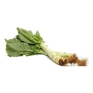 Celtuce seeds 300pcs Fr SG
