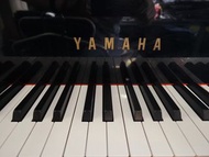 三角琴 Yamaha G2