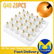 25Pcs G40 E12 Tungsten Incandescent Bulb Waterproof String Light Edison Bulb Retro Lamp Light String