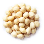 Macadamia Nuts