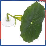 📦 1set Betta Interactive Toys Fish Hiding Places For Tank Bed 6.50x5.80x5.40cm