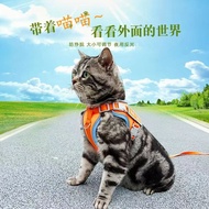 Cat Chain Breathable Firm