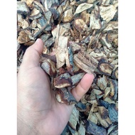 Herba akar tengkok biawak