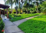 Palmier Hotel & Convenções