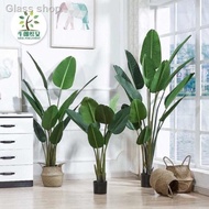 ✙◈🔥🔥🔥 <READY STOCK> Artificial Plant Skybird / Pokok Banana Pisang Real Fiddle Fig Mostera