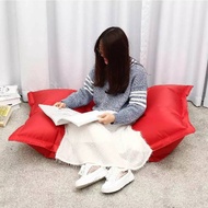 Bean bag Mattress/Bean bag Pillow/Bean bag Mattress