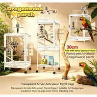 Bird Cage | Transparent Acrylic Anti-Splash Parrot Cage for Cockatiel Budgerigar | Free Dragonwood P