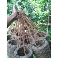 (D.17cm) Hanging pot, coconut fiber,/ fiber, orchid pot, natural pot