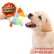 Mainan Anjing frisbee Berbunyi Tahan Gigitan Mainan Buluh Harian Anjing