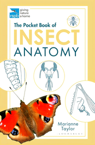 BBW หนังสือ POCKET BOOK OF INSECT ANATOMY