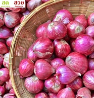 หอมแดงไทย คัดพิเศษ ขนาด 1kg 500g