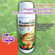 1L / 125ml SNT SuperFoliar Phosphorus Acid 400 Xtra / 2 in 1 Anti-bacterial + Foliar Fertilizer