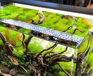 [HOÀN TIỀN 10%]Đèn Led Odyssea Slim X 120cm