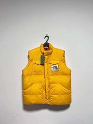 Gucci tnf羽絨外套