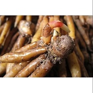 AZ Fresh Key Temu 500 grams