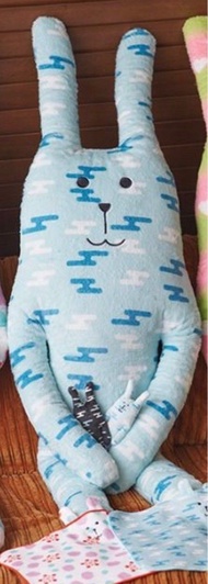 誠收😭🙏🏻 無一郎craftholic抱枕