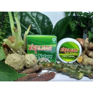 Salep Exclear Penghilang Koreng dan Gatal Koreng Selangkangan Gatal Koreng Anak Obat Koreng Bekas G