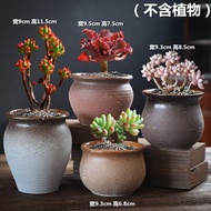 多肉花盆粗陶透气大小口径高桩陶瓷复古植物套装组合创意花器