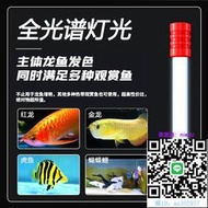 魚缸燈金龍紅龍魚專用誘發色燈烤色燈nec魚缸燈三基色T5全光譜潛水燈管水族燈