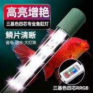 [in stock] Red White Butterfly Carp Tricolor Brightening Light Arhat Parrot Koi Waterproof Large Tan