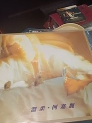 溫柔 何嘉麗 黑膠唱片