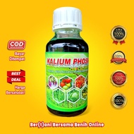 PUPUK CAIR KALIUM PHOSPAT + PACLOBUTRASOL 500 ML SRJ Spesial Perangsang Pembesar Umbi dan Buah