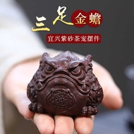 Purple Cicada Golden Cicada Tea Pet Ornaments Tea Table Tea Table Can Raise Three-legged Golden Cica