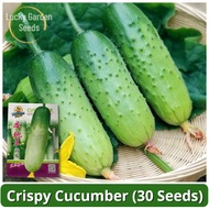 Yield Crispy Cucumber Seeds (30 Seed) Benih Buah Timun F1 Hybrid Small Cucumber Seeds Balcony Potted Vegetable Seeds