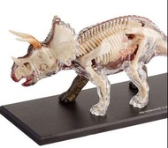 STEM 4D MASTER 動物解剖模型 三角龍 triceratops anatomy model