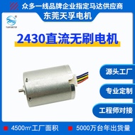 Jualan Terus Kilang 370 Motor Tanpa Brushless 2430 DC Motor Tanpa Brushless Penjagaan Peribadi Massa
