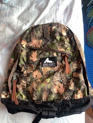 日本入男女啱用 Gregory backpack about 26L 返工背包返工背囊返學背包返學背囊旅行背囊旅行背包 office backpack travel backpack 登山毅行者越野跑