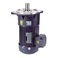 200w 1/4hp 0.2kw  1 phase deceleration gear motor 50hz 60hz ratio range from 1 3 to 1 1800  for cutt