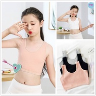 in stock PTU 6-12Y Teenager Girls Training Bra Cotton Girl Bra Top Skin-friendly Lingerie Vest rela 