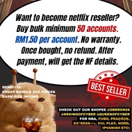 Netflix Account Plan