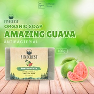 PINECREST Organic Amazing Guava Healing Soap 100g