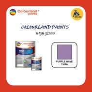 COLOURLAND PAINT 1 LITER | 5 LITER HIGH GLOSS - PURPLE WAVE 1504A