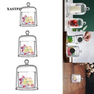 [Xastpz1] Clear Cloche Tabletop Ornament Transparent Gifts Candle Holder Bell Jar Display Case for Keepsakes Jewelry Watch