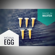 Water Flea Egg/Moina Egg