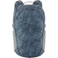 Patagonia - Refugio Day Pack 30L連電腦套- AGAVE PLUME GREY (龍舌蘭灰)