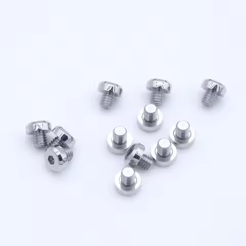 10PCS Mod Tuna Shroud Screws Canned Case Protector Screws Fits for SBBN015 SBBN033 SNE497 Watch Case