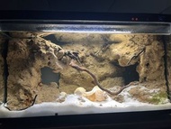 水族箱造景石連小米一代魚缸