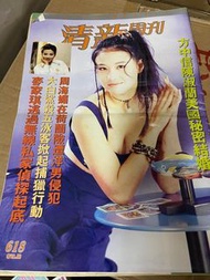 90年代雜誌清新周刊
