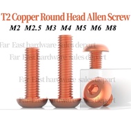 Red Copper Screw Half Round Head Screw Hex Copper Screw Copper Bolts M3 M4 M5