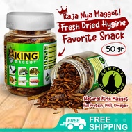 SEMPATI King Maggot Sempati Bsf Super Magot Maggot Kering Dry Fresh Magot Pakan Makanan Ikan Arwana 